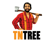 Logo and branding for a tree services company.